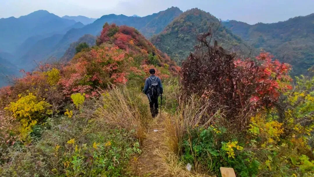 西安自驾赏秋秘境,秦岭团标峪休闲徒步赏红叶,打卡十二天门古遗迹