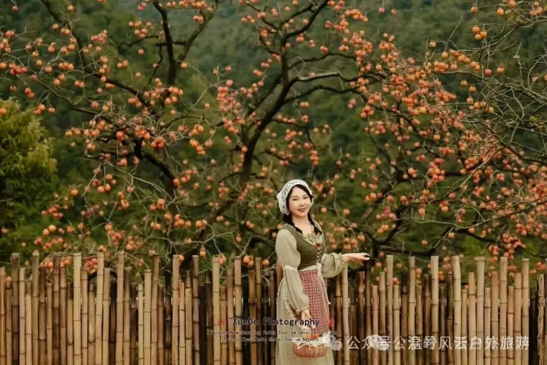 【风云旅游】10月31号周六 新昌兢山村赏满山柿子+盐帮十八渡风景区 休闲一日游