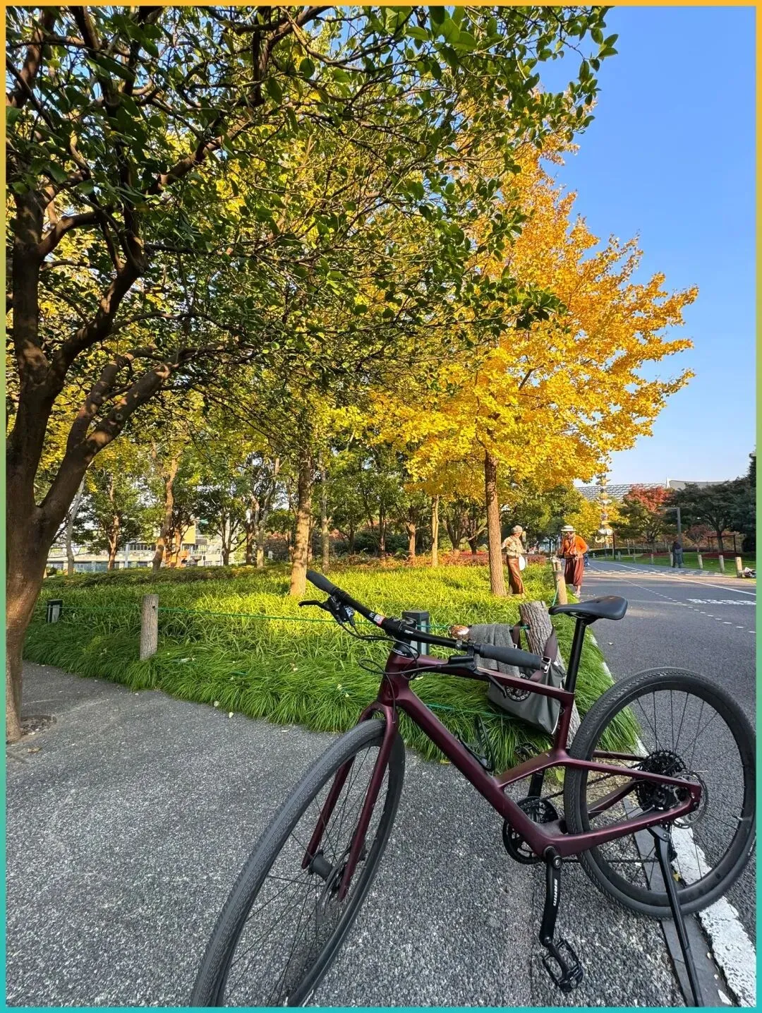高铁3小时!适合11月带爸妈旅行的6个城市,省心暖心,全攻略来了!!