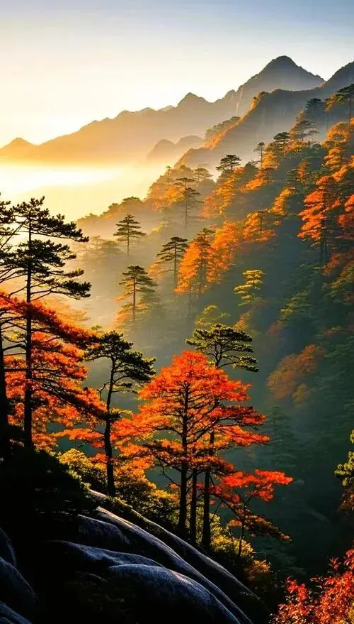 “四大佛教名山”之安徽“九华山”秋日旅游保姆级攻略|布局+线路+景点+美食全整理