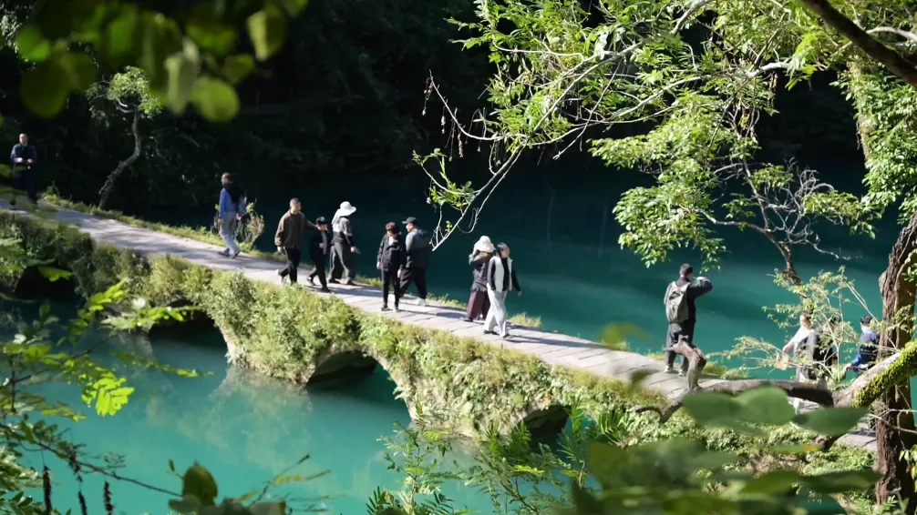 中国旅游景区协会关于举办旅游景区质量等级达标创建与迎检实务培训班的通知