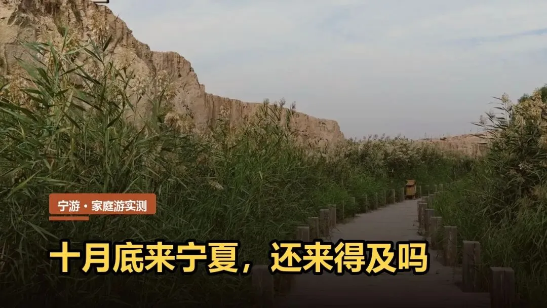 宁夏旅游攻略:十月底还来得及吗?看这四样