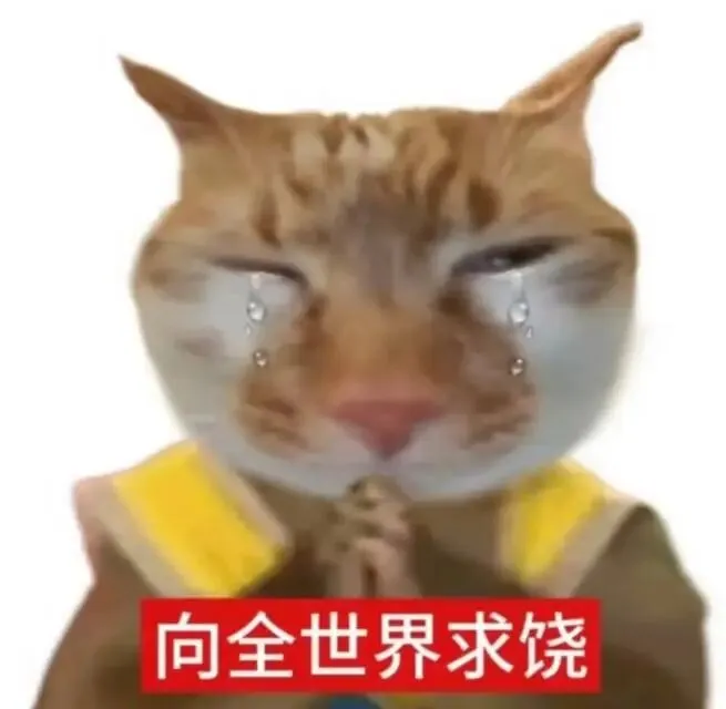 不想再特种兵旅游?火速码住这篇旅游邪修!