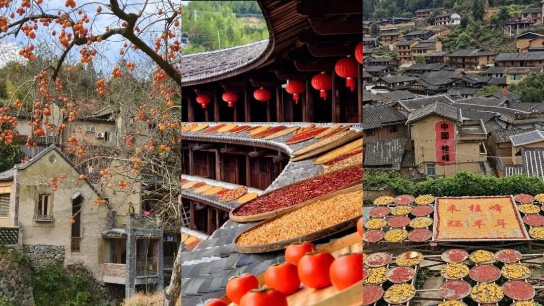 福建最值得去的10个赏秋地|收好这份福建旅游寻秋攻略