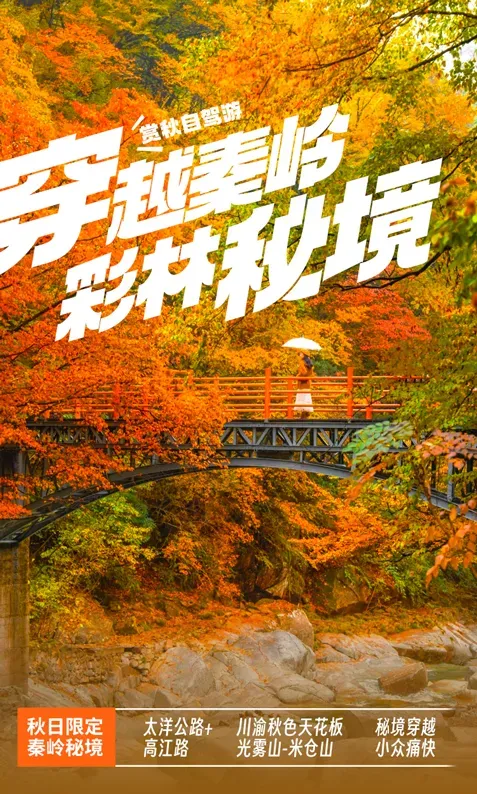 10月26封神自驾|穿越秦岭彩林秘境!
