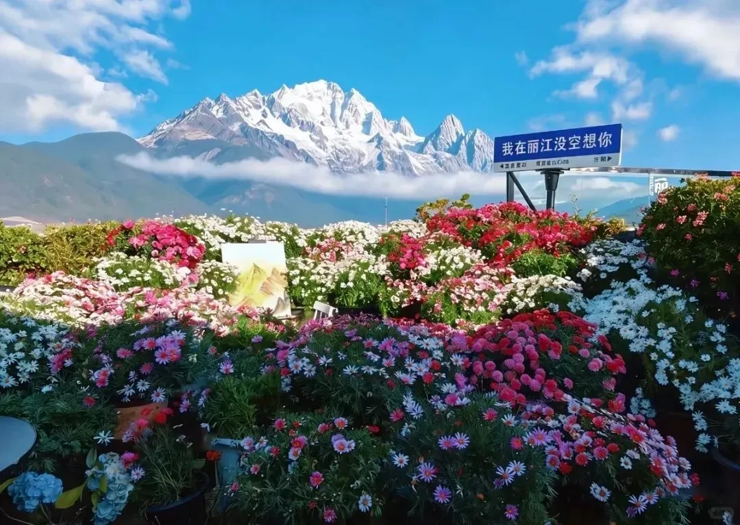雲南旅遊包車|不購物不趕路不做攻略,這才是旅遊該有的樣子!