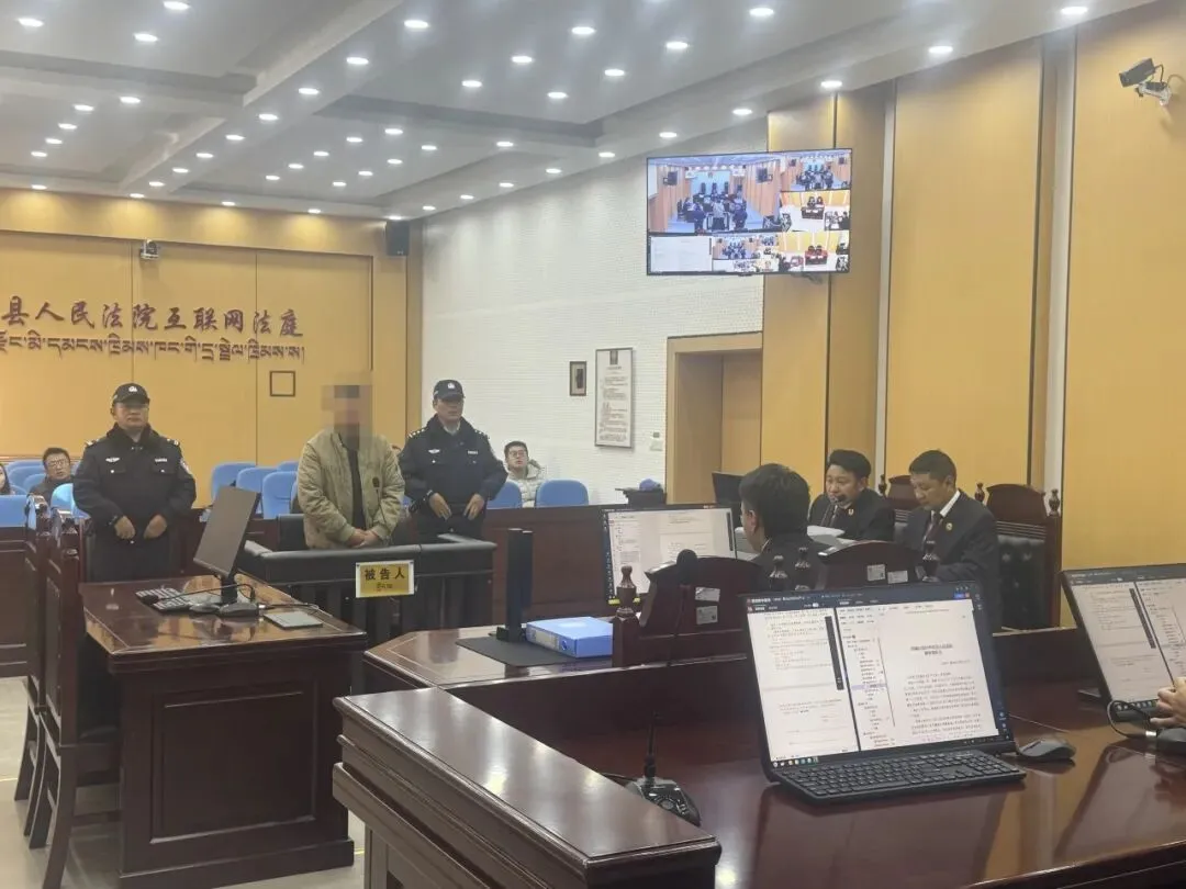 申扎县人民检察院提起公诉的一起旅游车队交通肇事案获判