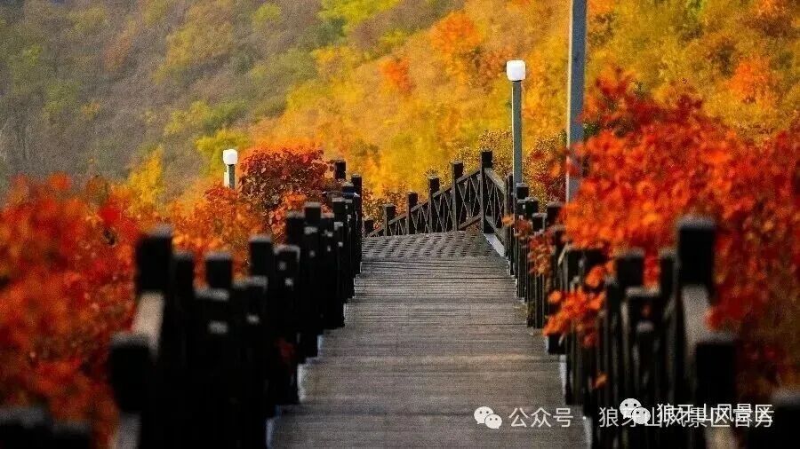 超实用!狼牙山媳妇岭红叶季完整游玩攻略(附导览图)