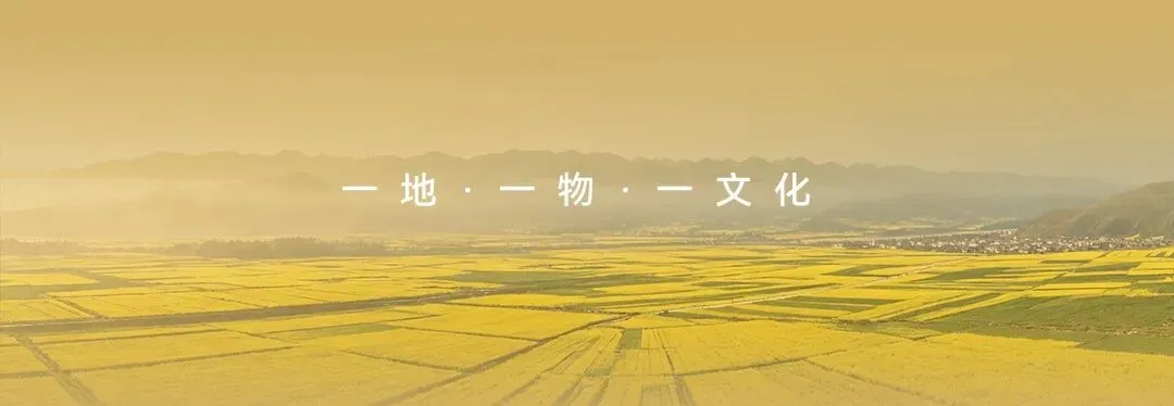 整村开发乡村旅游 需要怎么做投资才少?