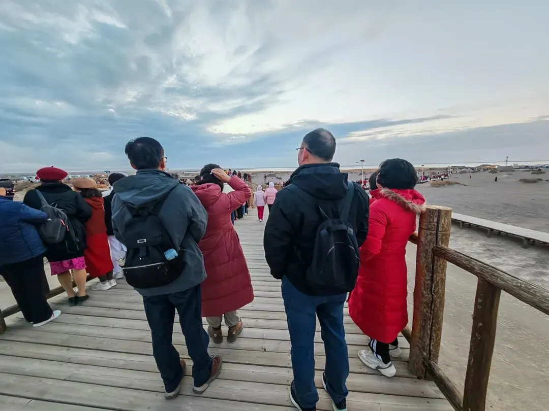 额济纳旗胡杨林旅游记(二)