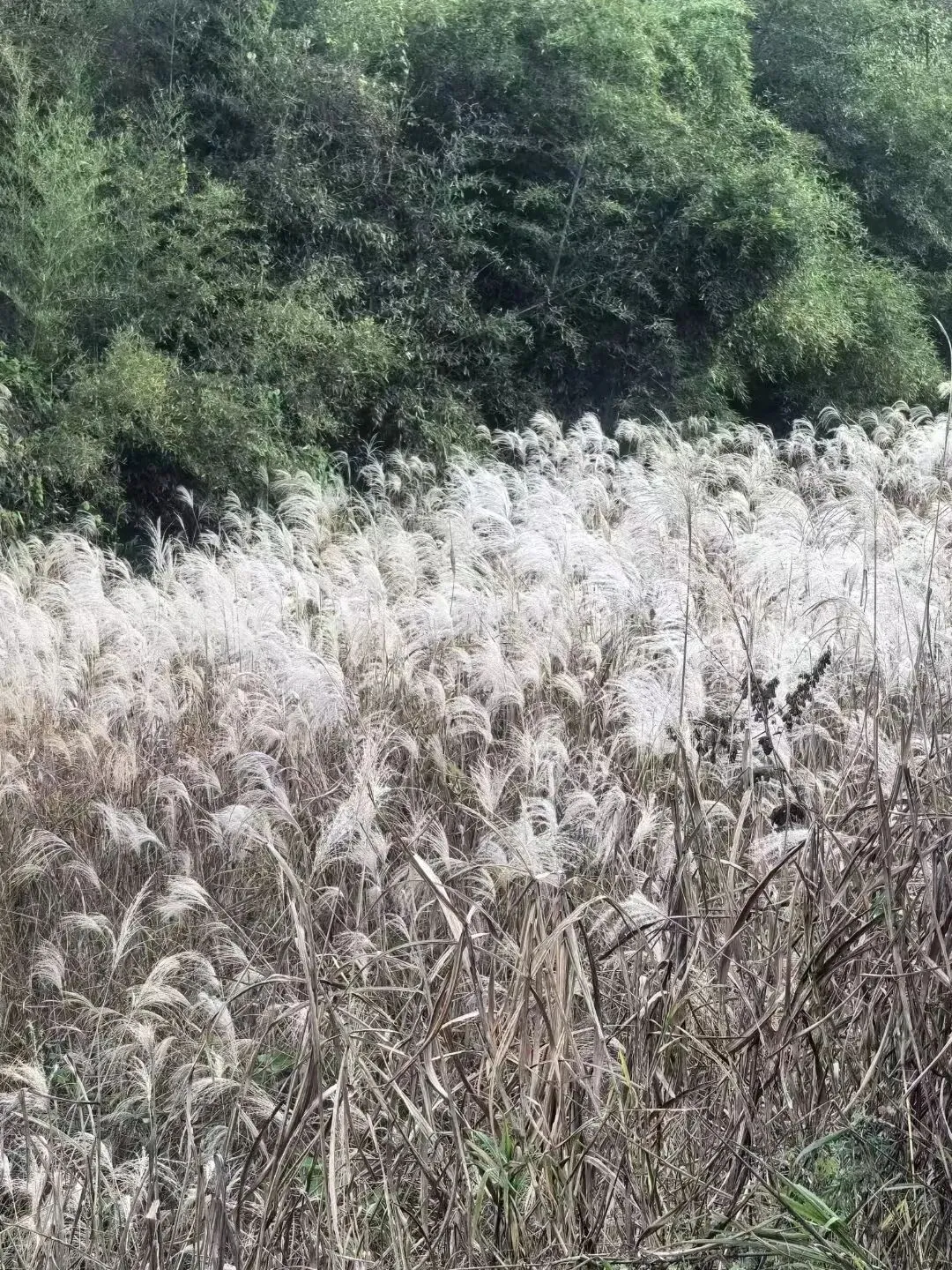 秋日自驾马丁公路——最美的风景在路上