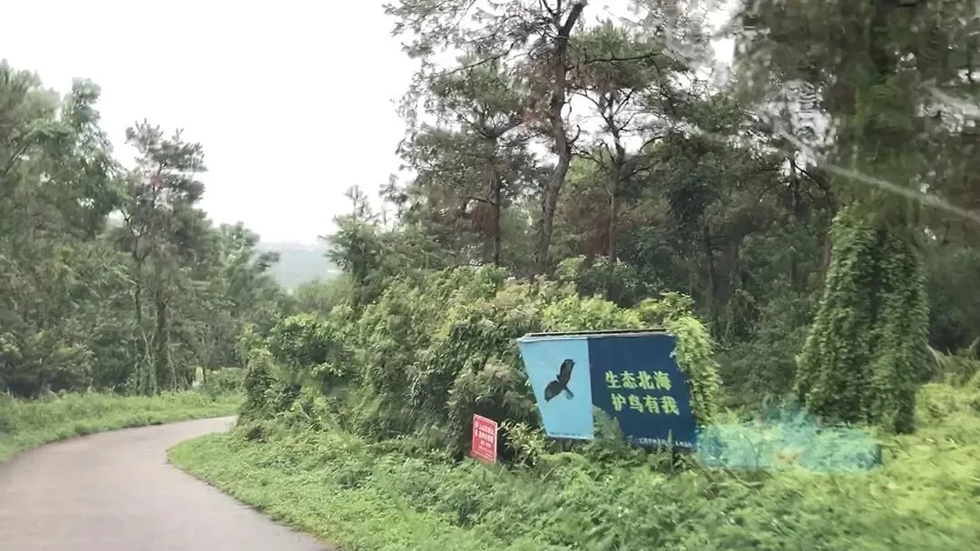 旅途见闻|北海自驾游之四:去冠头岭没找到看海的路,慕名前往流下村却发现毫无特色