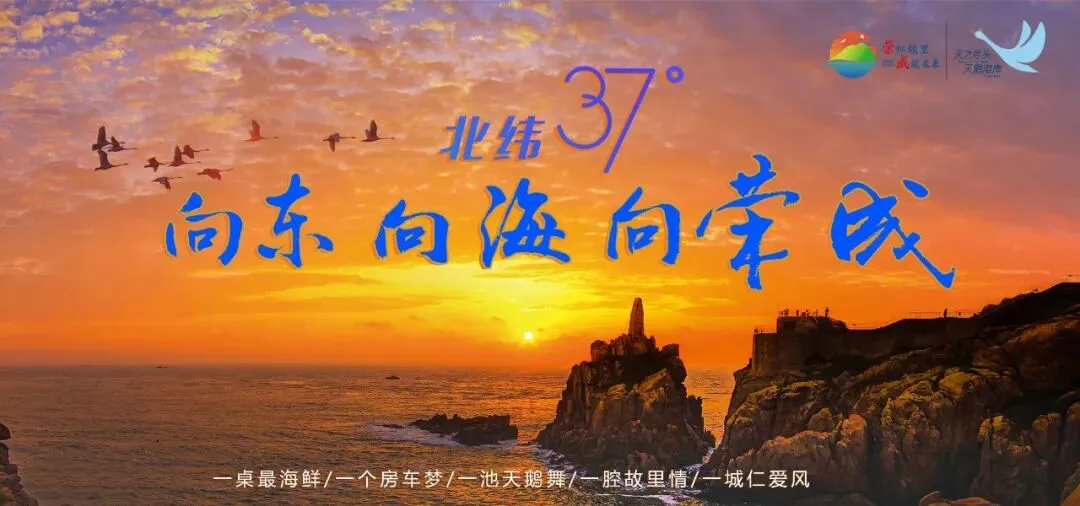 荣成文化旅游集团有限公司招聘公告