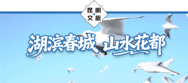 本地人私藏的四季游玩指南,全在这张手绘地图里,扫它→