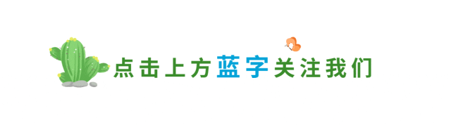 山水花都丨昆明秋季慵懒游玩指南
