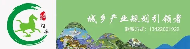 同质化的乡村旅游,你能分几杯羹?