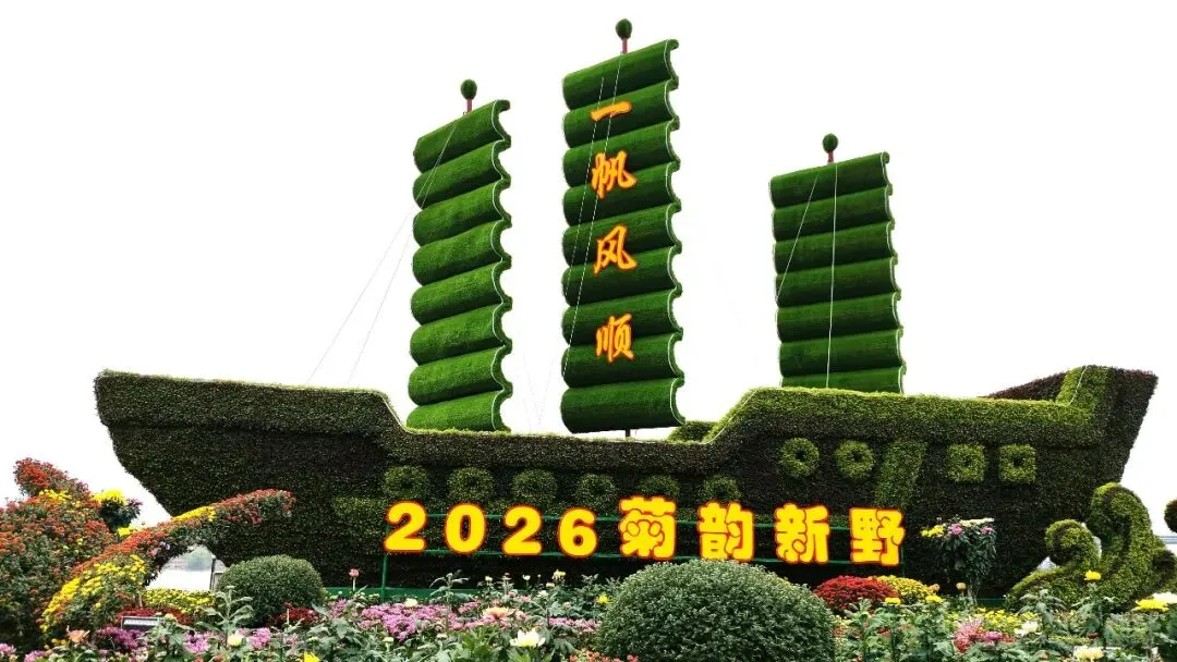 2026年新野菊花展 旅游攻略 和60多张精美图片