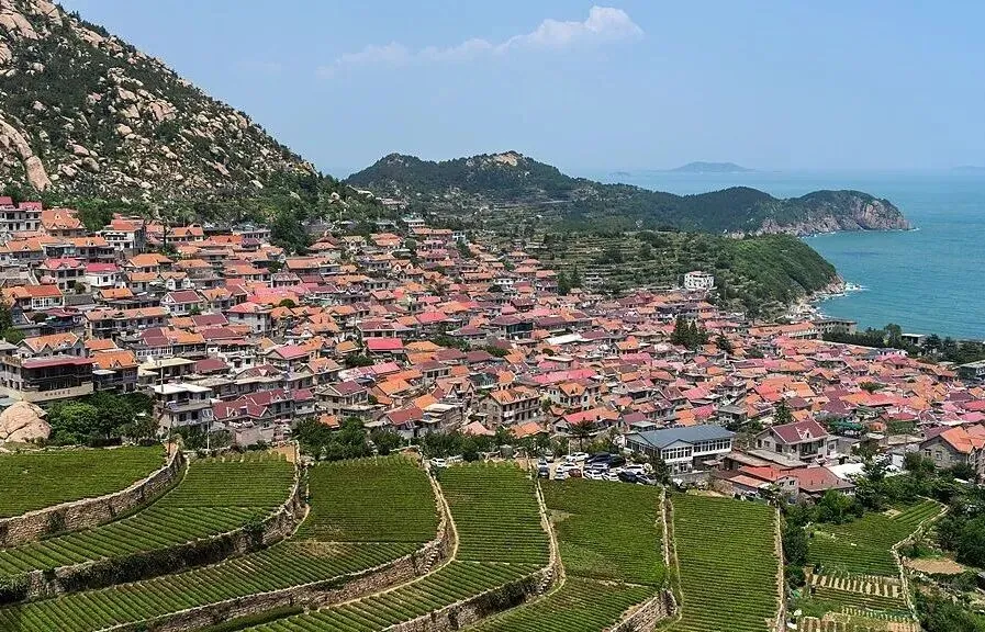 青岛反向游玩攻略,拒绝网红流水线打卡