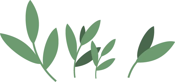 【网络中国节·春节】勐海新春游玩指南丨打洛旅游线路