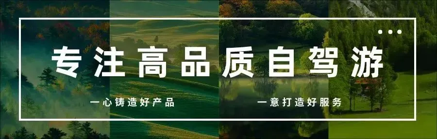 行知天下自驾游【大河之南】2026年11月行走河南,读懂中国,自驾开封万岁山-少林寺-老君山-龙门石窟-万岁山4日游