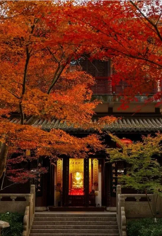 「六朝金粉地」南京秋游旅行攻略:梧桐半城 · 红叶满山 · 五日四夜慢行记|金陵不似人间色,一城山水一城诗