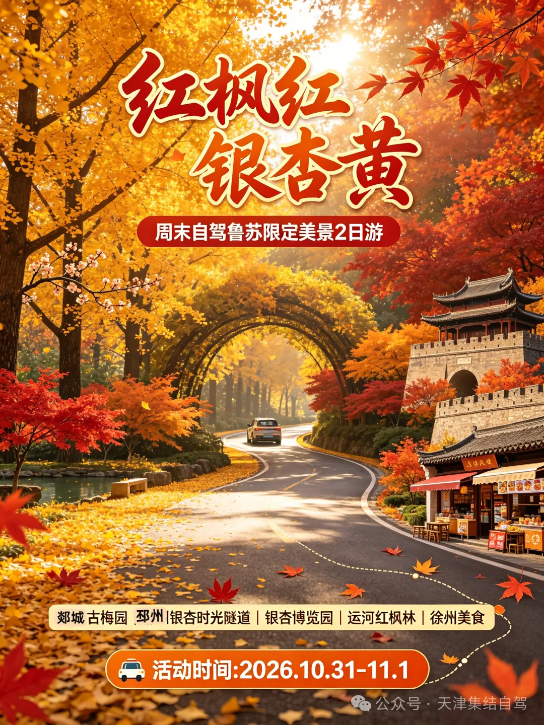 【红枫红·银杏黄】10月31日自驾鲁苏限定奇观2+1日游,最美时间到啦!畅游郯城古梅园·邳州时光隧道·银杏博览园·运河红枫园