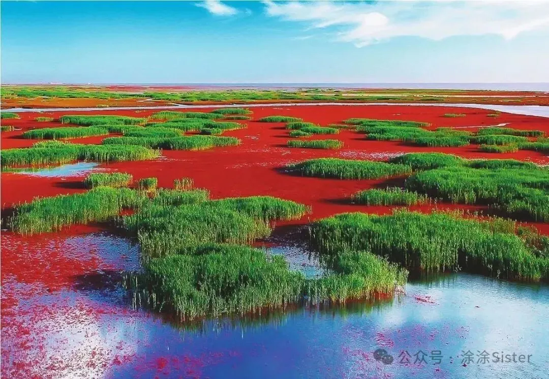 辽宁盘锦旅游攻略:一幅用芦苇作笔、红滩为墨绘就的生态画卷,一个让候鸟都“赖着不走”的宝藏旅游地!