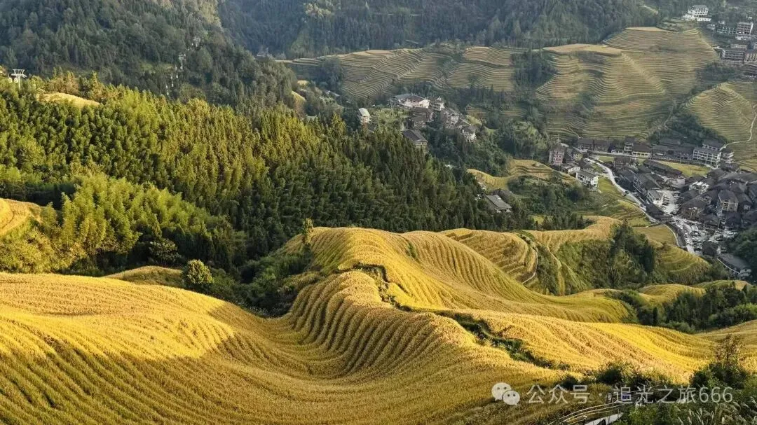 走进广西|自驾游桂林龙脊梯田,赏世界梯田之冠秋日美景