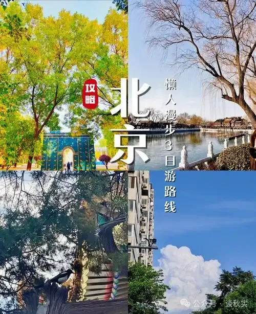 攻略!北京3天避坑指南,6个免费胡同博物馆拍照地,旅行必备!