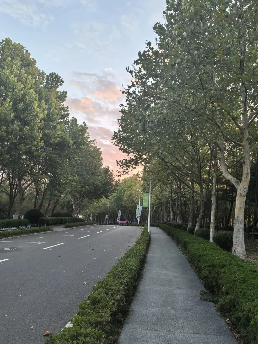 自驾游之清晨的大学校园