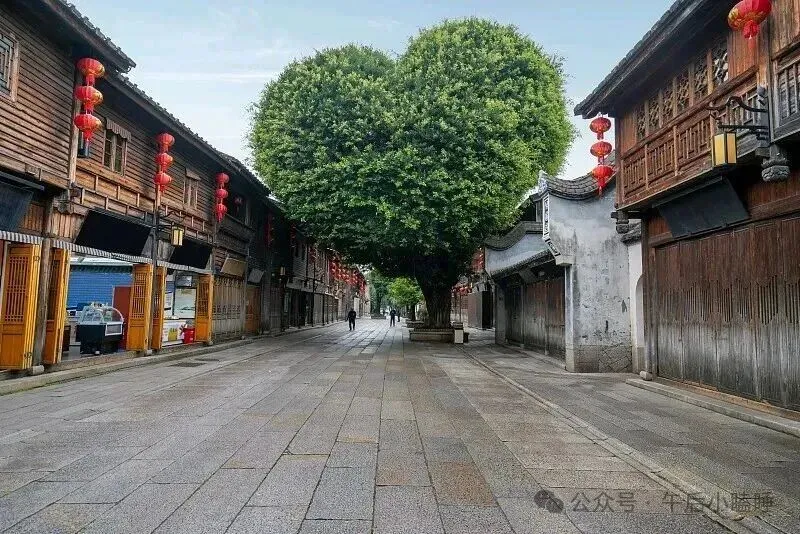 福州旅行攻略|免费景点占九成,三天两晚不赶不累