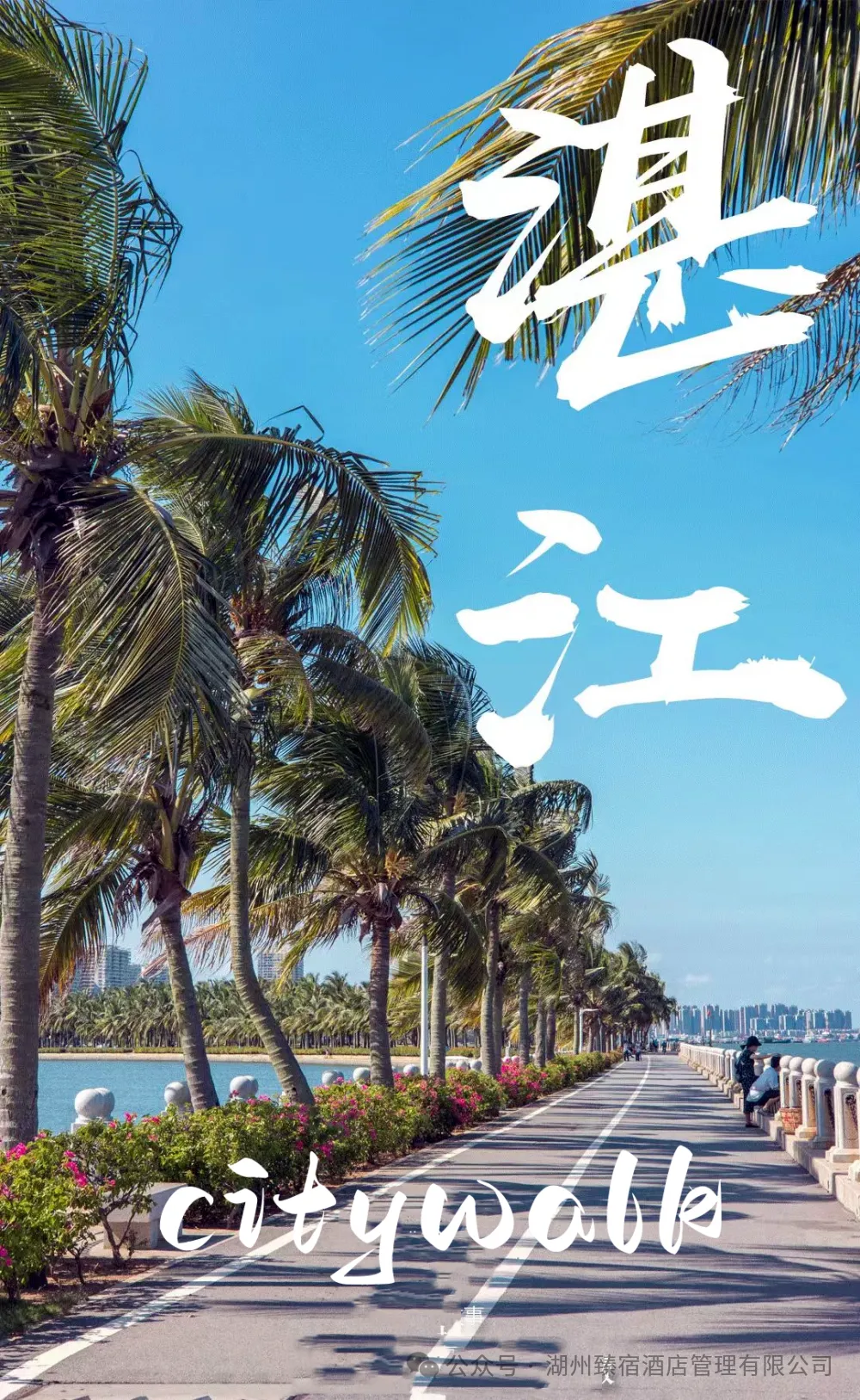 江全域旅游|走进雷州半岛,火山海岛、大陆最南端,海鲜吃爽!