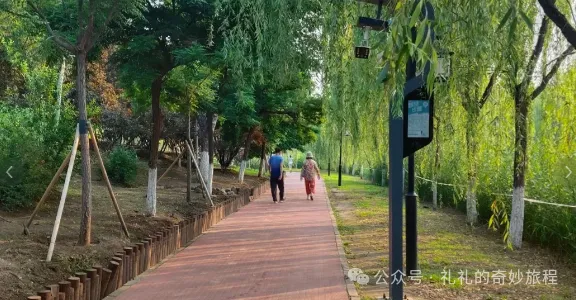 退休后才懂:维持最长久的旅游搭子,不是朋友,也不是驴友,只有老伴