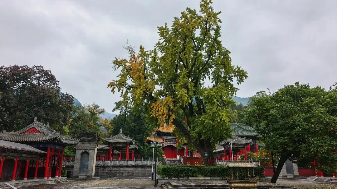 自驾游“豫晋蒙陕川”(十八)