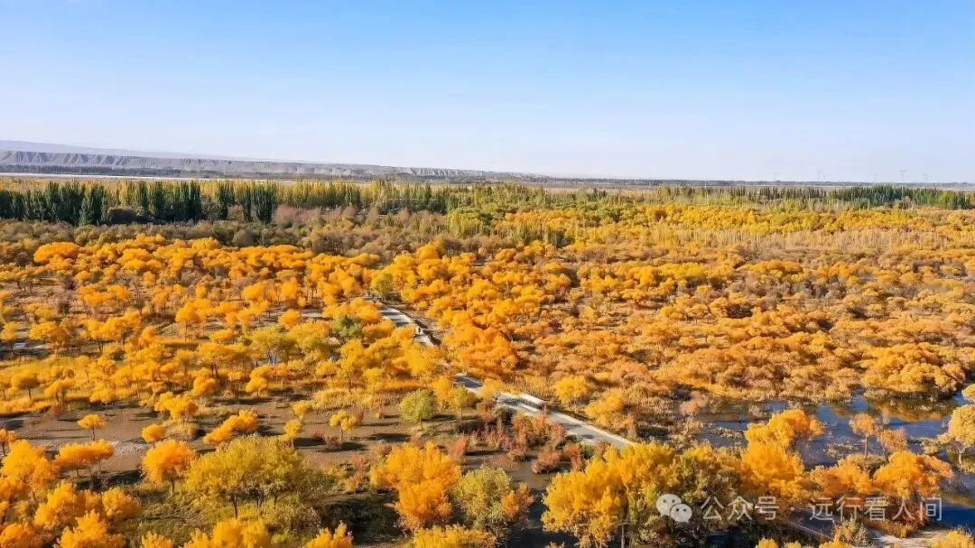 10 月底独自带着孩子来新疆旅行,追求省心省力,想找伊犁旅行社挑选贴心细致的跟团产品,不想进购物店,找哪家公司靠谱?