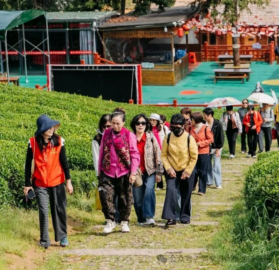 我建了一个退休旅游搭子群,全国607080后都可以进