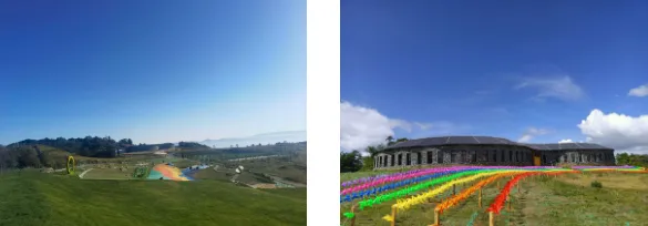 【马关招聘】云南云锦园旅游服务有限公司招聘会计、施工员、招标资料员等岗位 | 包食宿