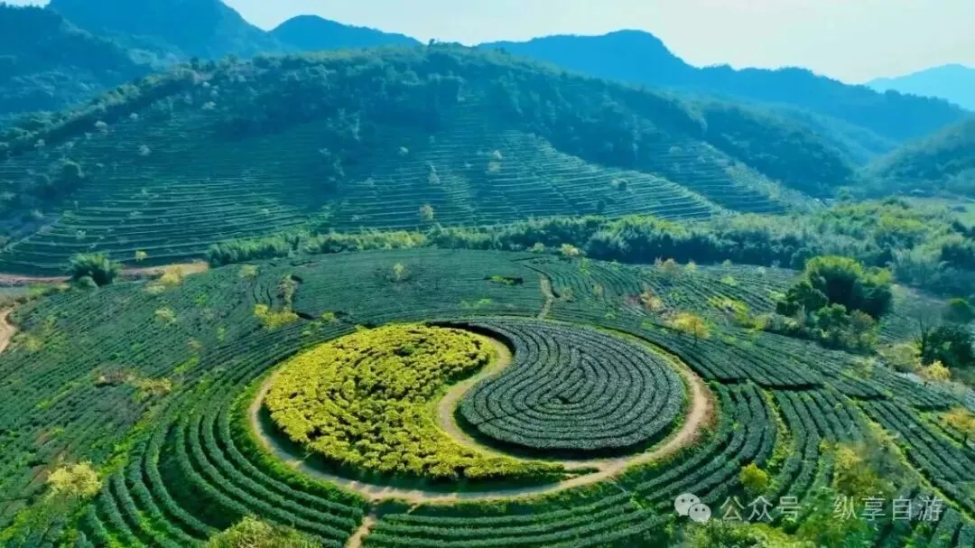 广东清远3天2夜旅游攻略,茶谷、峰林、玻璃水、云海日出,照着走不踩雷