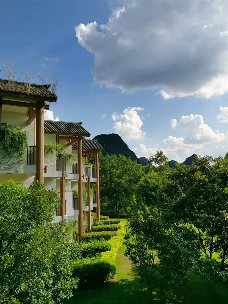世界旅游组织《世界旅游晴雨表》202610