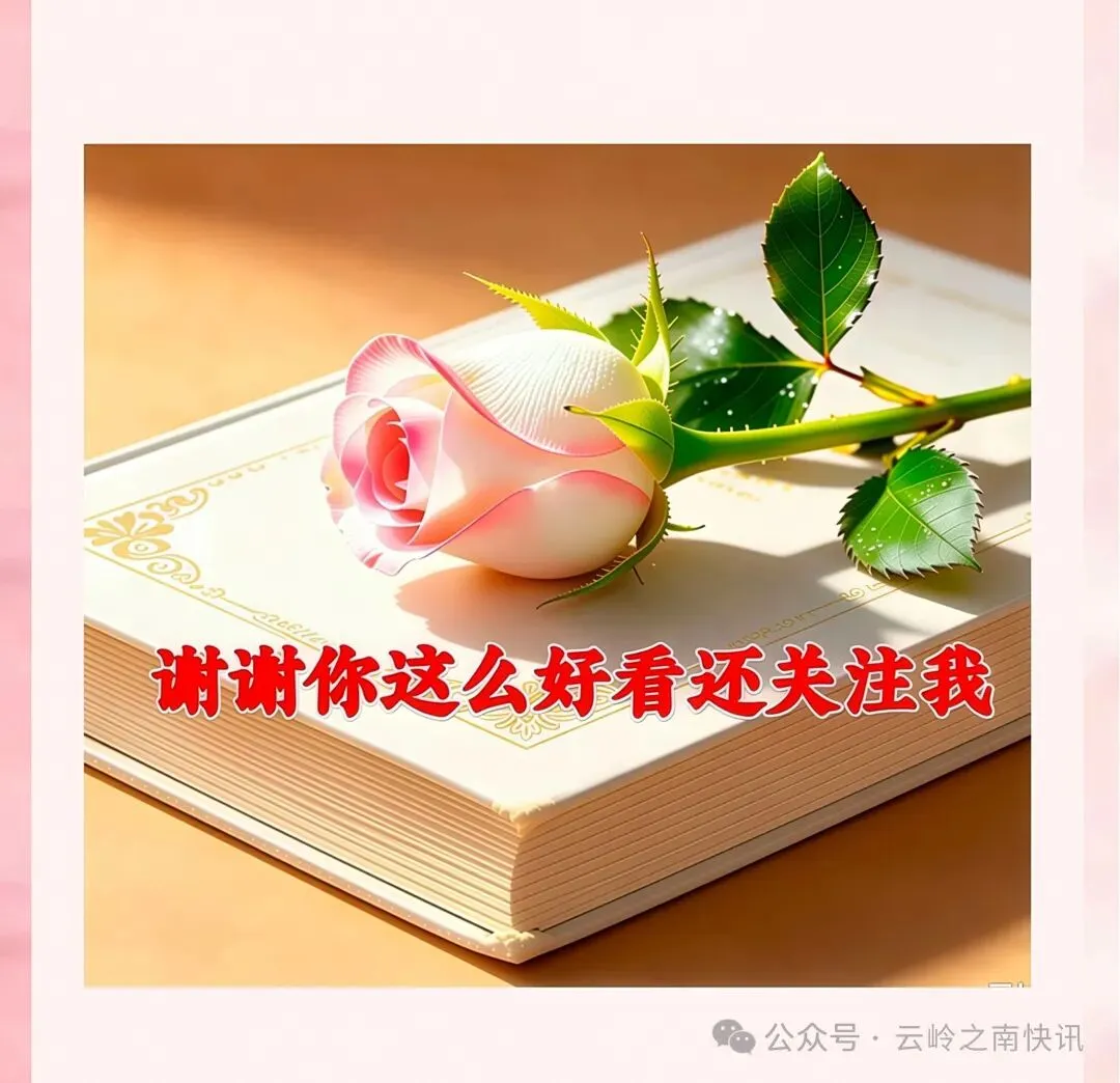 云南旅游留不住人?柴霞这五条实在建议,把“过客”变成“常客”