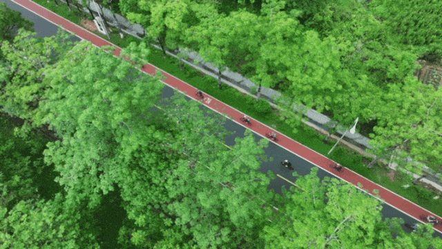一路山水入画来!打卡增城最美旅游公路,解锁大湾区诗意自驾之旅