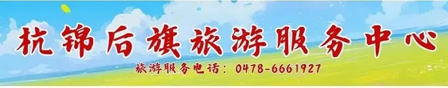 避坑 | 旅游消费避坑指南——警惕导游执业各类乱象