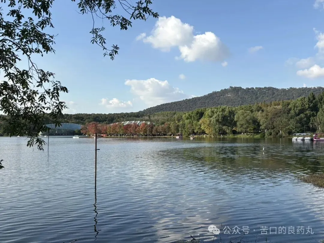 这次不汇报读博心得,看看旅游战绩
