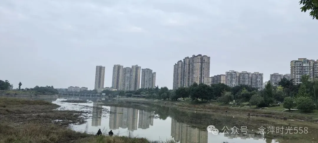 丽华叶儿粑,藏在多少人的峨眉山旅游攻略里