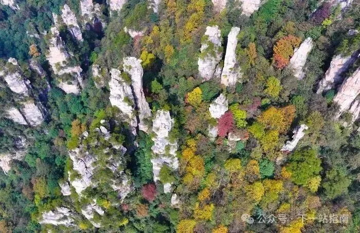 跟着央视去赏秋|深圳—张家界 11 月旅游攻略