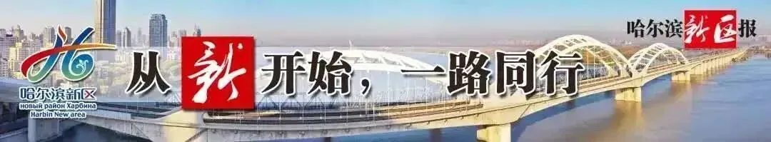 一条地铁线何以成为冰城旅游专线