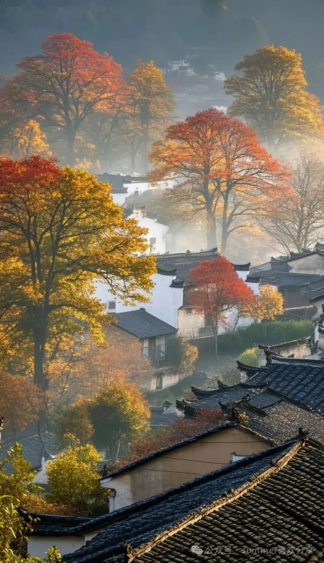 秋日旅游推荐:皖南秋色天花板|安徽“塔川”超全深度旅游攻略(含拍照时间、网红机位、美食、贴士)
