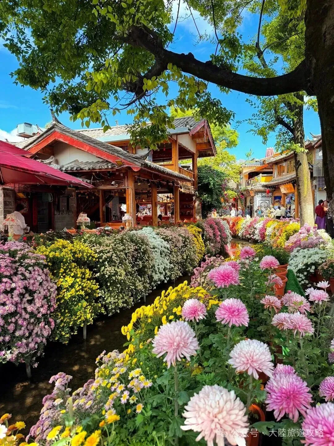 雲南旅遊推薦:從洱海到雪山,一路走進人間值得
