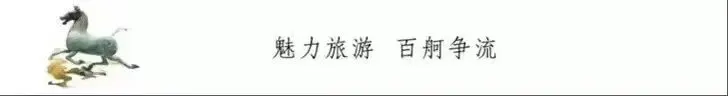 挥球相伴,乐享争锋丨旅游学院教职工代表队跻身气排球比赛四强