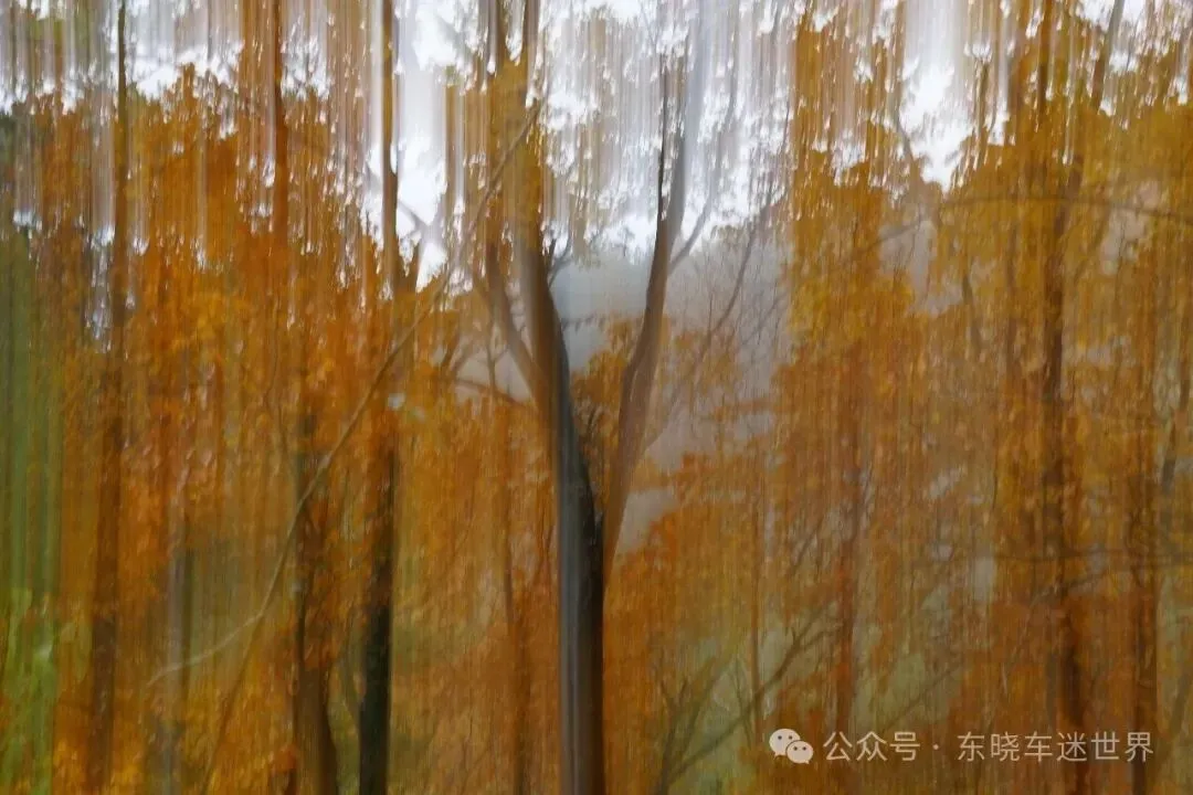【自驾游记】光雾山十八月潭:烟雨中的彩林与人潮